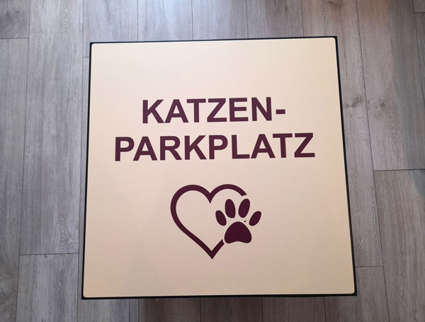 Katzenparkplatz