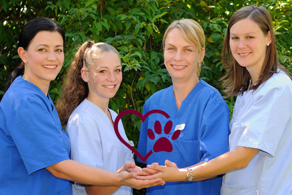 Unser Praxisteam mit Herz 2017 Unser Praxisteam mit Herz 2017