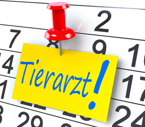 Tierarztkalender